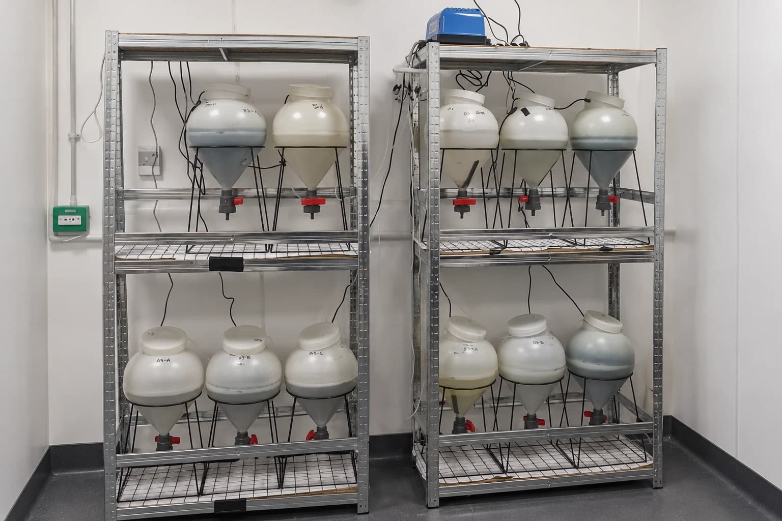 Racks of small conical culture vessels from our first bench-scale systems
