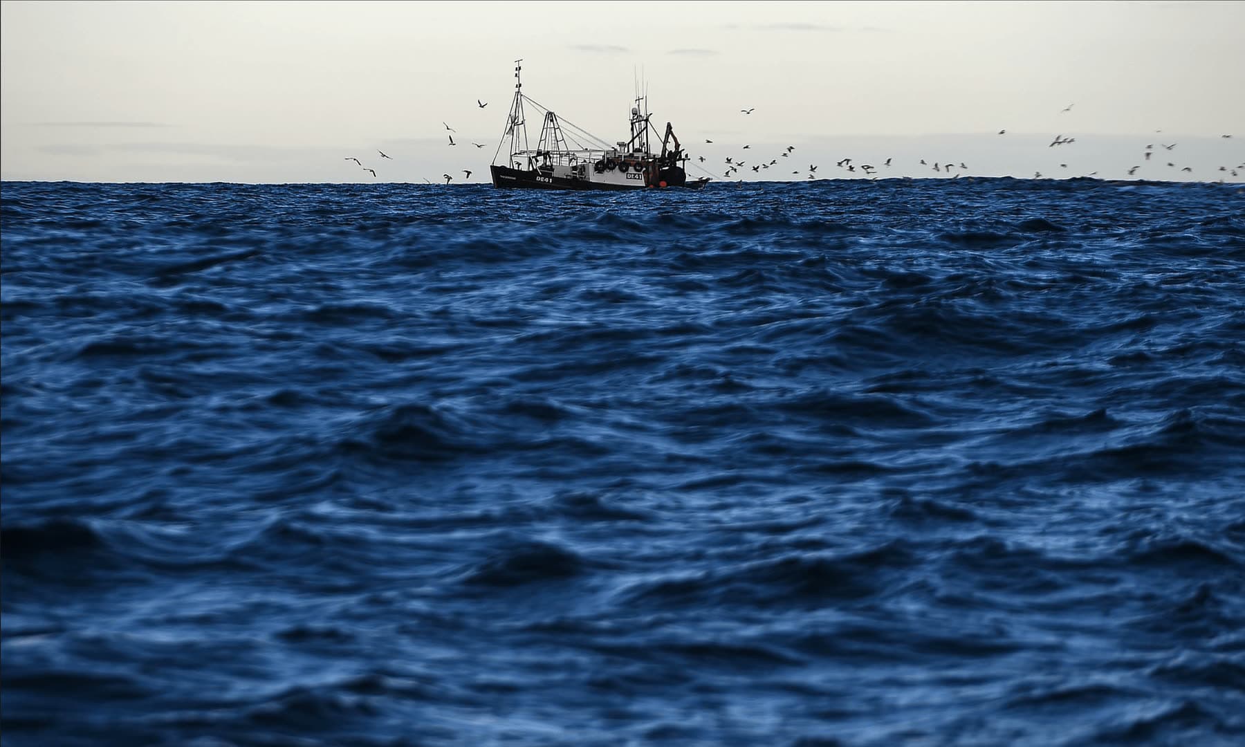 Wild fisheries net at sea